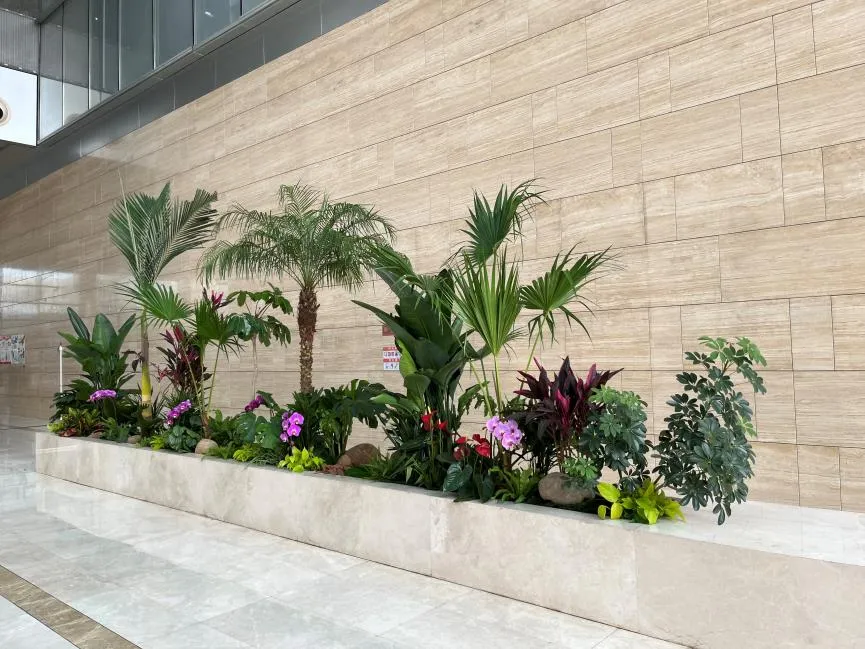 宁波鄞州专业绿植租赁，开启绿色办公新体验